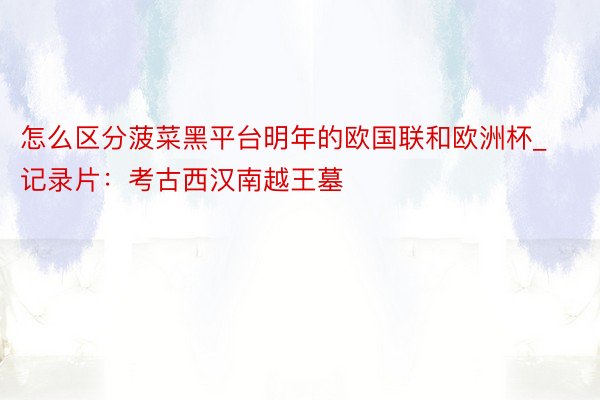 怎么区分菠菜黑平台明年的欧国联和欧洲杯_记录片：考古西汉南越王墓